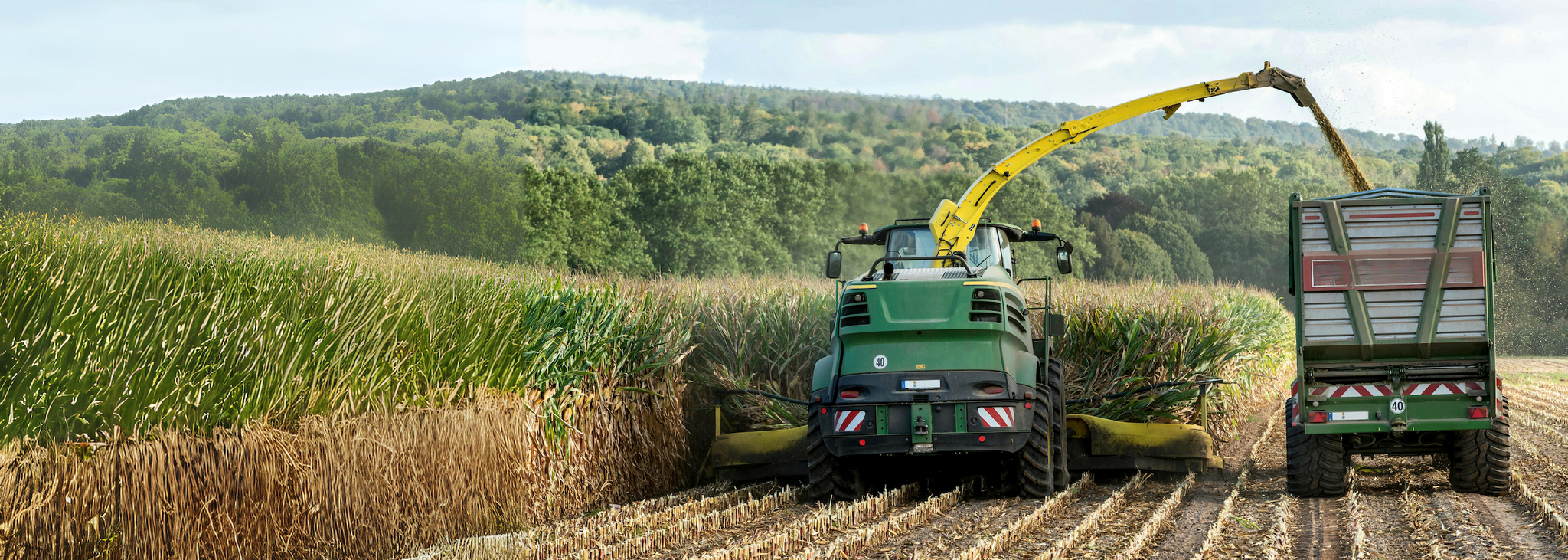 Large agricultural machine harvesting crops and unloading them into a truck on the right side