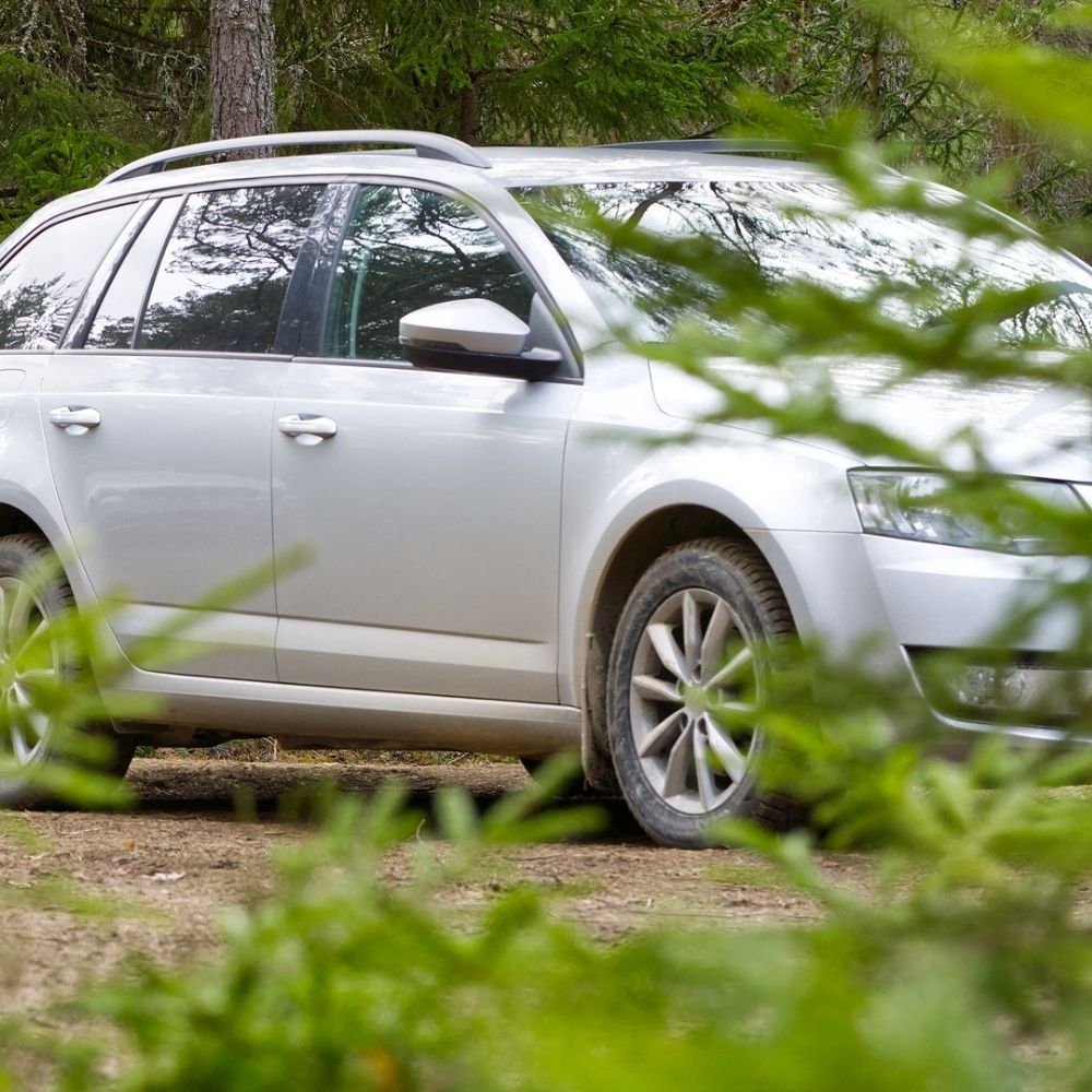 Sølvfarvet stationcar parkeret på en grusvej omgivet af grønne områder